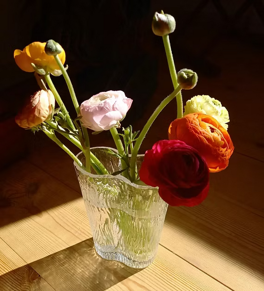 Vas Vitreum Strand, Klarglas, Liten